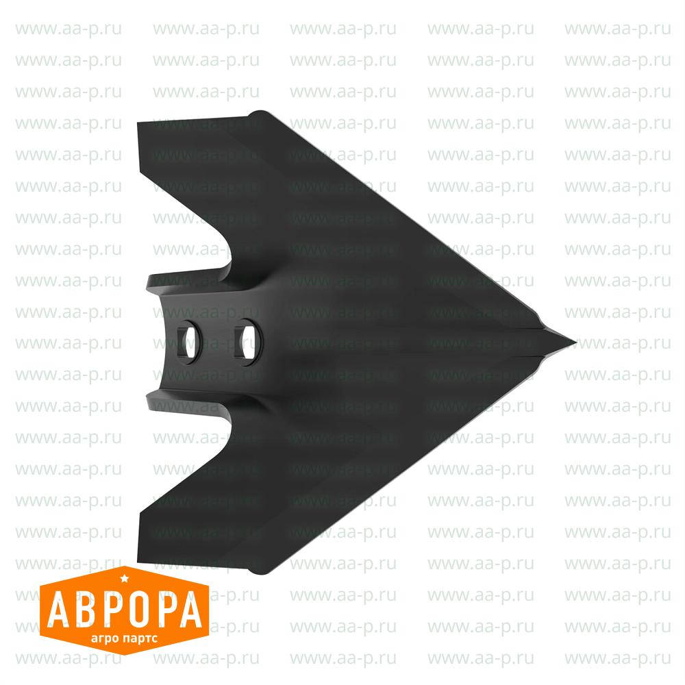 N182039 СТРЕЛЬЧАТАЯ  ЛАПА